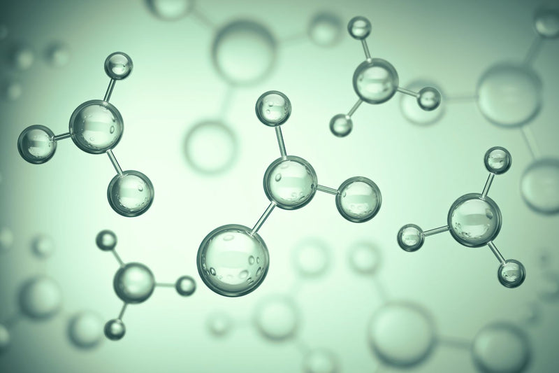 Vegan Collagen Peptides (from Arctic microalgae)