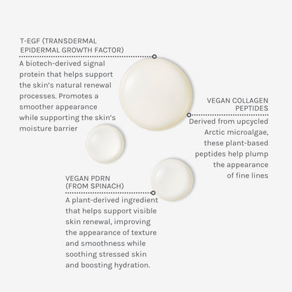 Evolve Organic Beauty Face Serum EGF + Collagen Renewal Booster