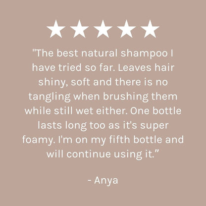 Evolve Organic Beauty Shampoo Superfood Shine Shampoo - Travel Size