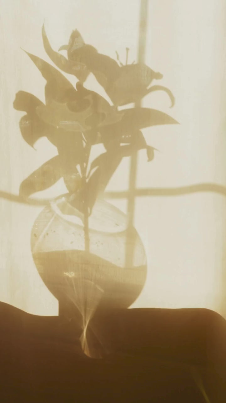 Joyful Light Essence